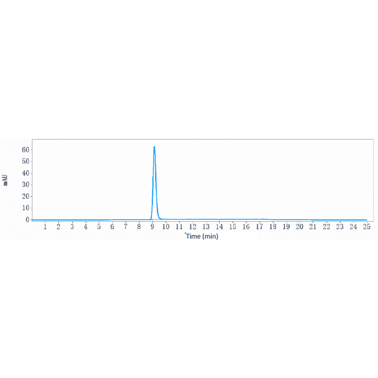 SEC-HPLC - Anti-Clusterin Antibody [AB-16B5] - Low endotoxin, Azide free (A323978) - Antibodies.com