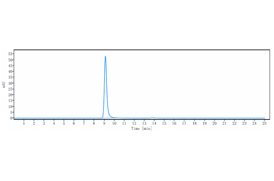 SEC-HPLC - Anti-CXCR3 Antibody [Research Grade Biosimilar] - Low endotoxin, Azide free (A323987) - Antibodies.com