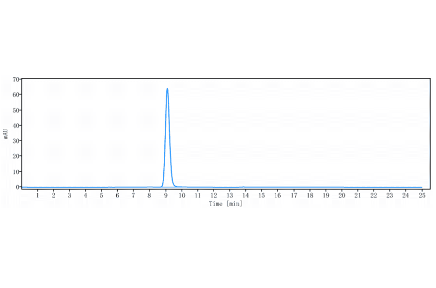 SEC-HPLC - Anti-CXCR4 Antibody [Research Grade Biosimilar] - Low endotoxin, Azide free (A323988) - Antibodies.com