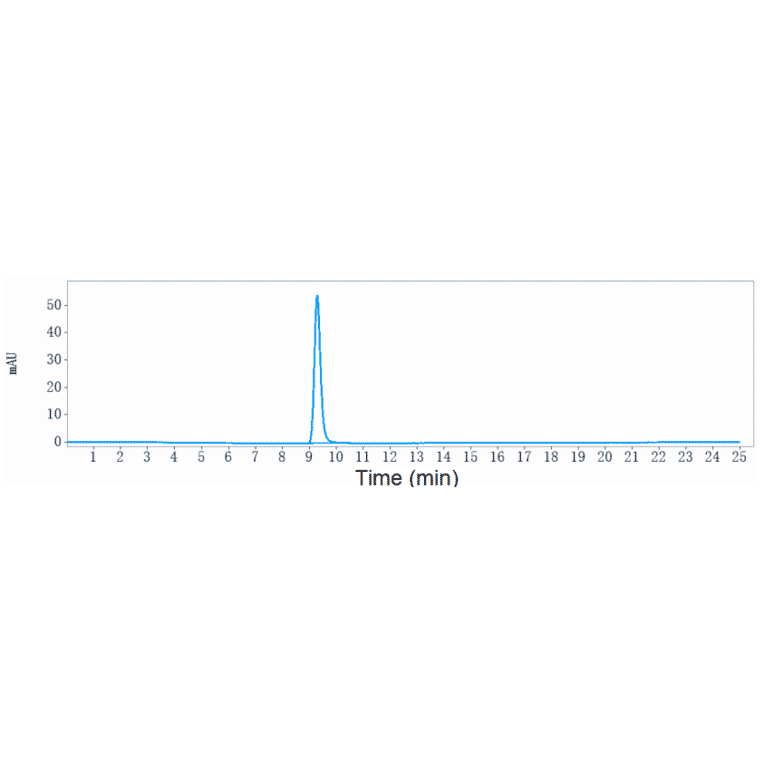 SEC-HPLC - Anti-CYR61/CCN1 Antibody [Research Grade Biosimilar] - Low endotoxin, Azide free (A323990) - Antibodies.com