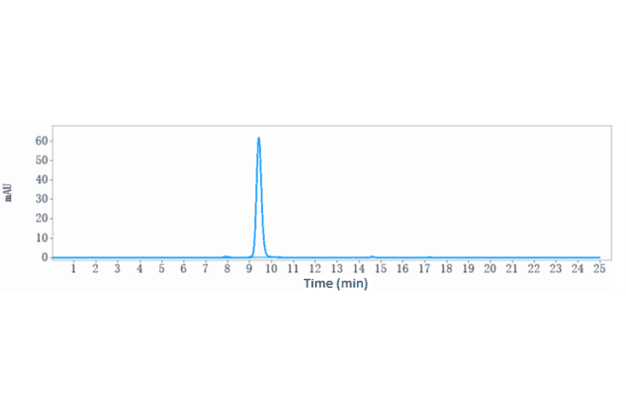 SEC-HPLC - Anti-DCBLD2/ESDN Antibody [FA19-1] - Low endotoxin, Azide free (A323991) - Antibodies.com