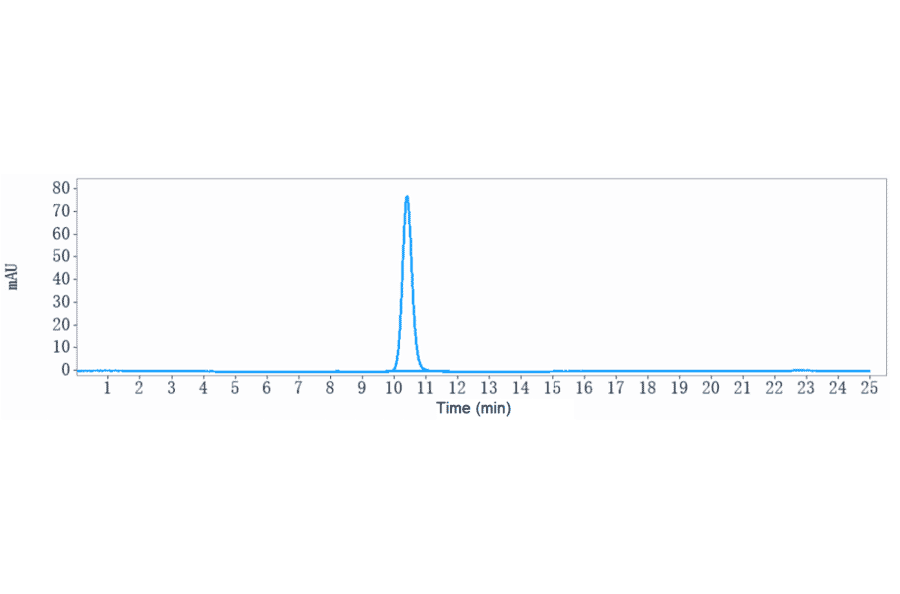 SEC-HPLC - Anti-Desmoglein 3/PVA Antibody [Research Grade Biosimilar] - Low endotoxin, Azide free (A323995) - Antibodies.com