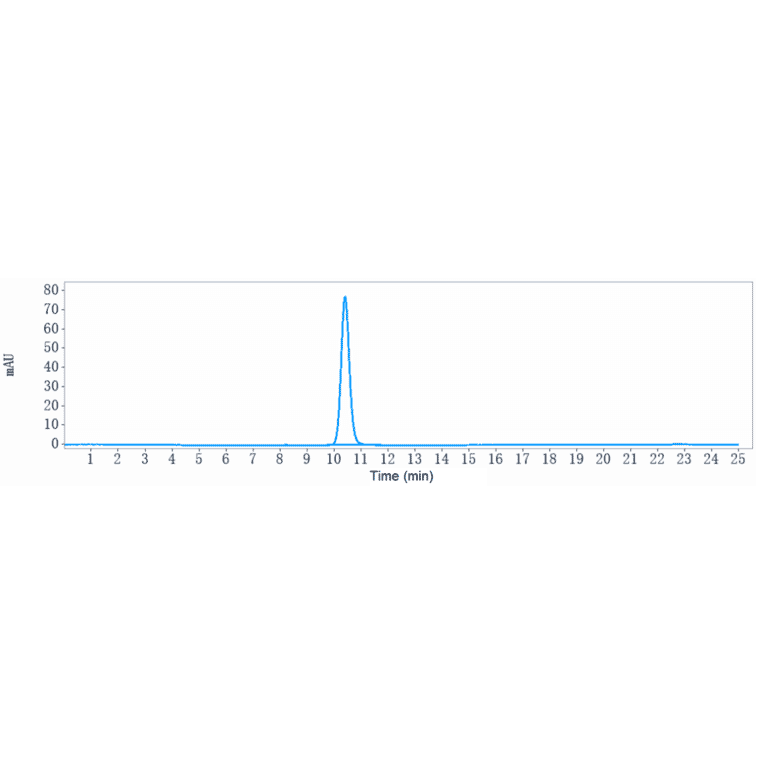 SEC-HPLC - Anti-Desmoglein 3/PVA Antibody [Research Grade Biosimilar] - Low endotoxin, Azide free (A323995) - Antibodies.com