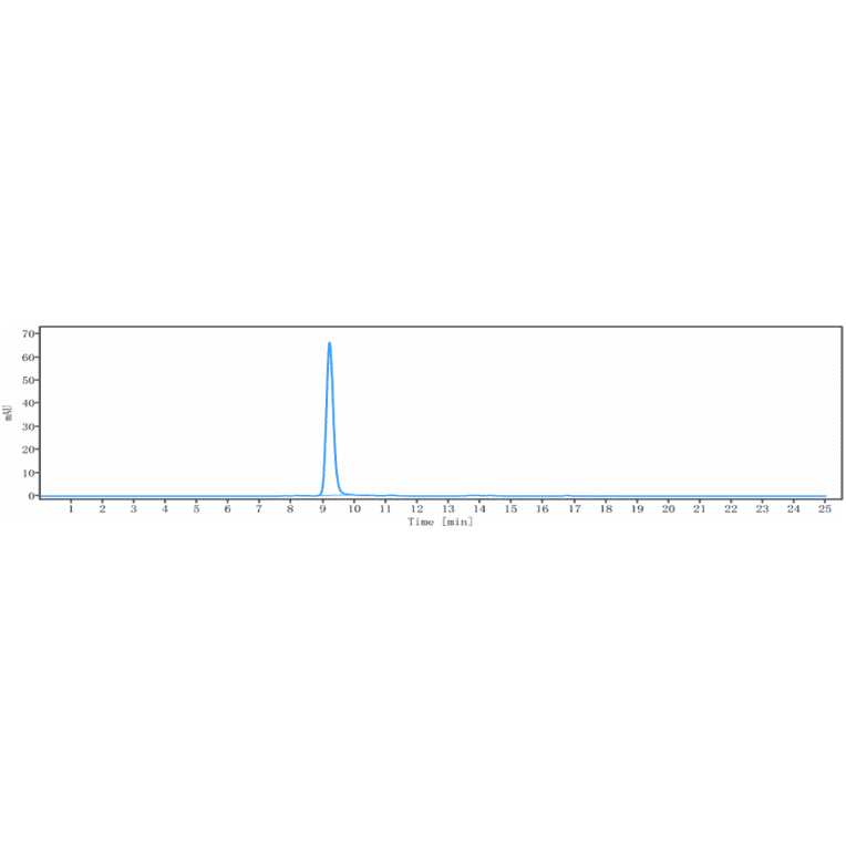 SEC-HPLC - Anti-DKK1 Antibody [BHQ880] - Low endotoxin, Azide free (A323996) - Antibodies.com