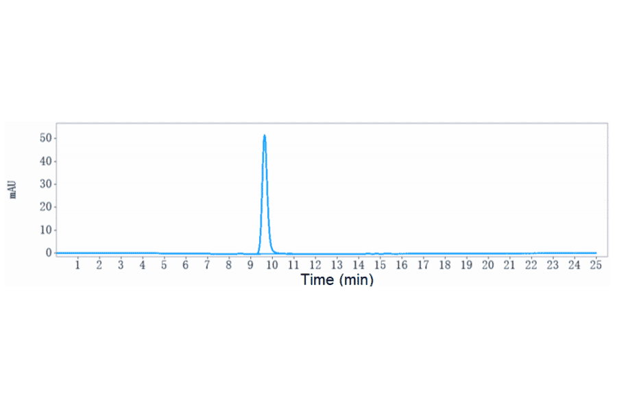 SEC-HPLC - Anti-DLL4 Antibody [Research Grade Biosimilar] - Low endotoxin, Azide free (A323999) - Antibodies.com