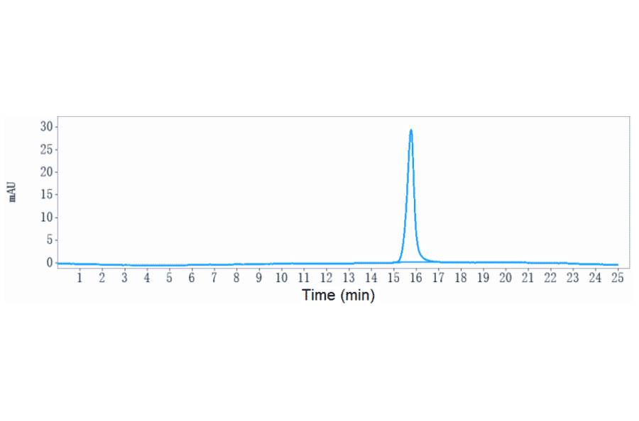 SEC-HPLC - Anti-Dysadherin Antibody [Research Grade Biosimilar] - Low endotoxin, Azide free (A324001) - Antibodies.com