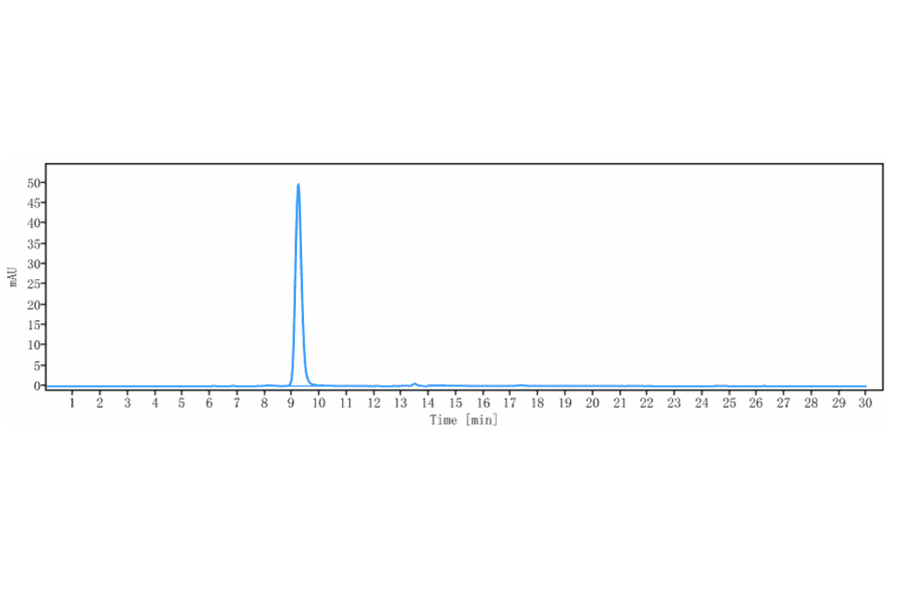 SEC-HPLC - Anti-E Cadherin Antibody [Research Grade Biosimilar] - Low endotoxin, Azide free (A324002) - Antibodies.com