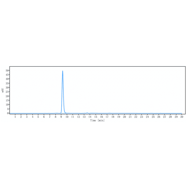 SEC-HPLC - Anti-E Cadherin Antibody [Research Grade Biosimilar] - Low endotoxin, Azide free (A324002) - Antibodies.com