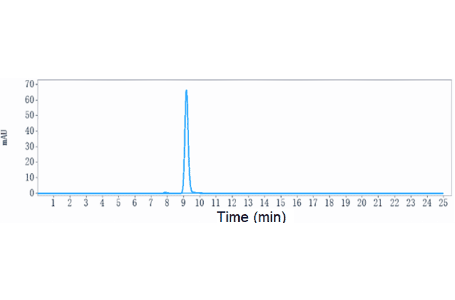 SEC-HPLC - Anti-ENPP3/B10 Antibody [Ags-16C3F] - Low endotoxin, Azide free (A324010) - Antibodies.com