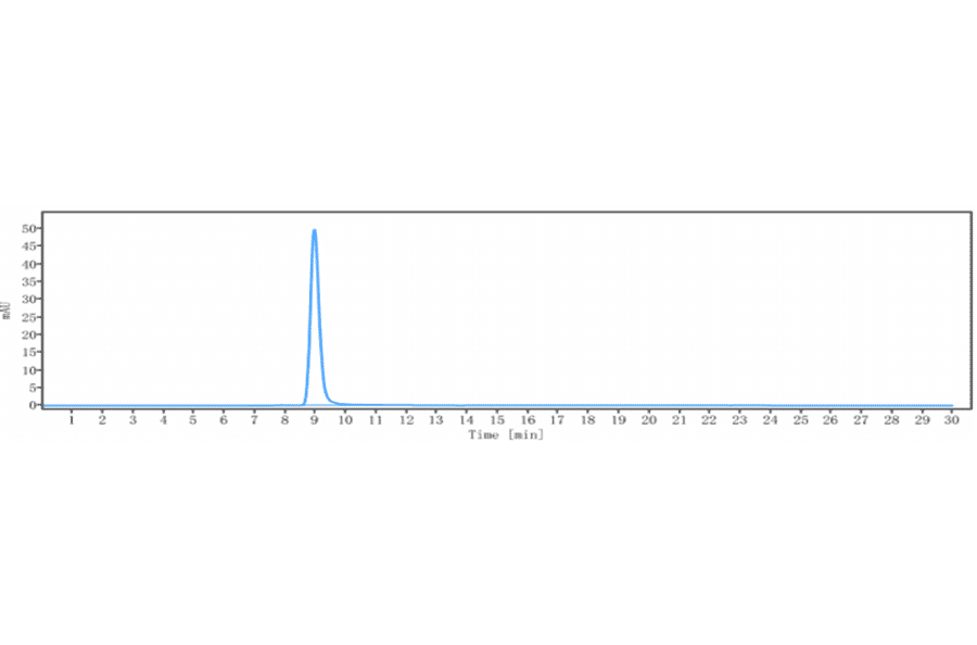 SEC-HPLC - Anti-Eph Receptor B2 Antibody [Research Grade Biosimilar] - Low endotoxin, Azide free (A324013) - Antibodies.com
