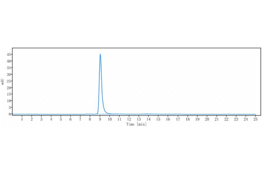 SEC-HPLC - Anti-Ephrin A4 Antibody [PF-06647263] - Low endotoxin, Azide free (A324016) - Antibodies.com