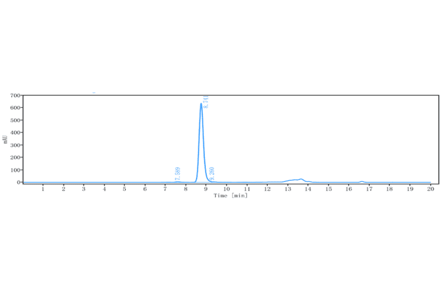 SEC-HPLC - Anti-EPO-R Antibody [Research Grade Biosimilar] - Low endotoxin, Azide free (A324017) - Antibodies.com