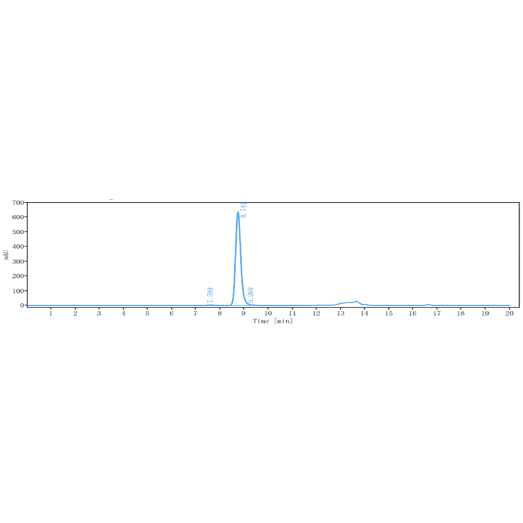 SEC-HPLC - Anti-EPO-R Antibody [Research Grade Biosimilar] - Low endotoxin, Azide free (A324017) - Antibodies.com