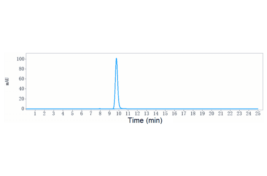 SEC-HPLC - Anti-Factor VIII Antibody [Research Grade Biosimilar] - Low endotoxin, Azide free (A324020) - Antibodies.com