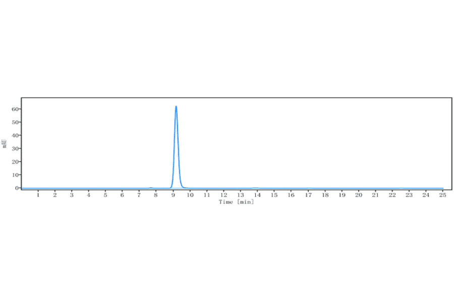 SEC-HPLC - Anti-FGF19 Antibody [1A6] - Low endotoxin, Azide free (A324022) - Antibodies.com