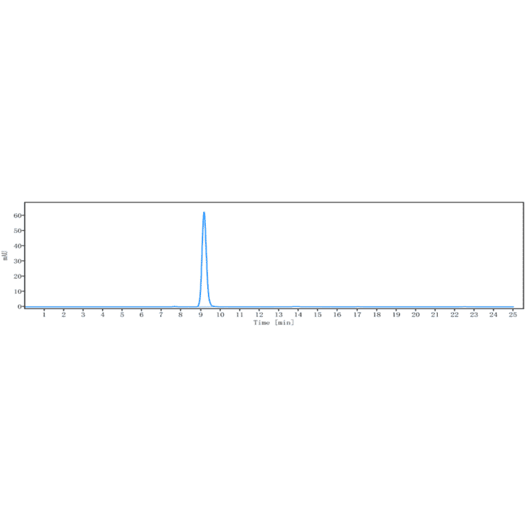 SEC-HPLC - Anti-FGF19 Antibody [1A6] - Low endotoxin, Azide free (A324022) - Antibodies.com