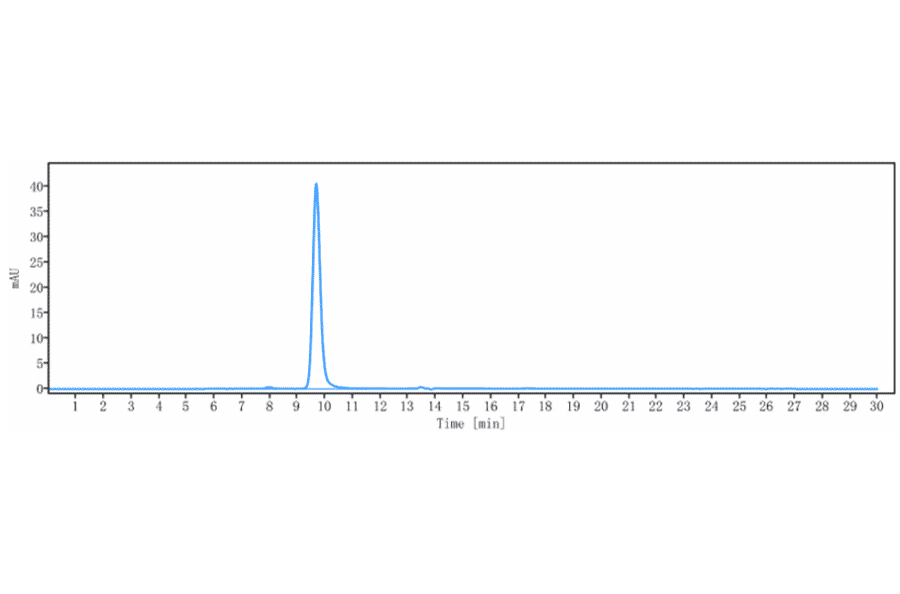 SEC-HPLC - Anti-FGFR1 Antibody [Research Grade Biosimilar] - Low endotoxin, Azide free (A324024) - Antibodies.com