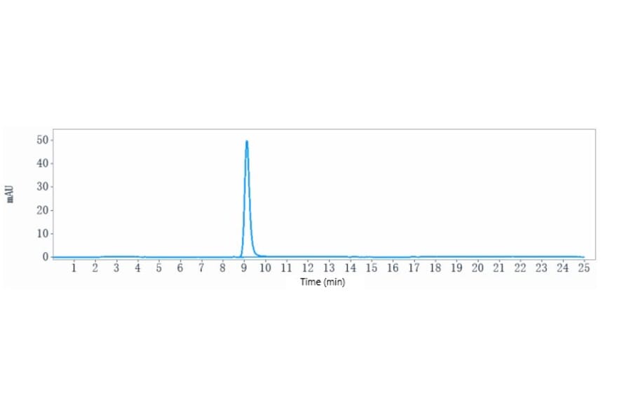 SEC-HPLC - Anti-FGFR3 Antibody [LY3076226] - Low endotoxin, Azide free (A324025) - Antibodies.com
