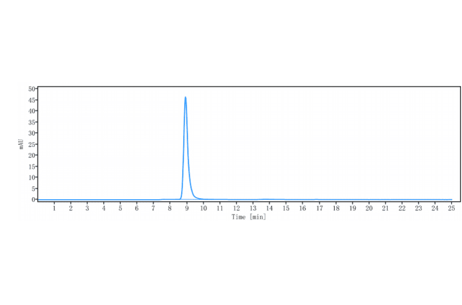 SEC-HPLC - Anti-Flt3/CD135 Antibody [IMC-EB10] - Low endotoxin, Azide free (A324028) - Antibodies.com