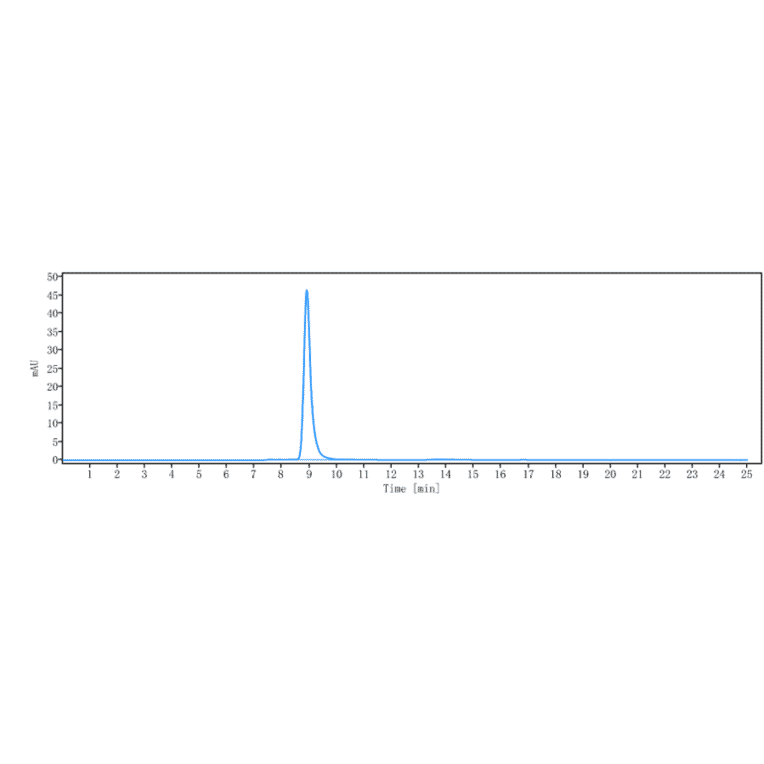 SEC-HPLC - Anti-Flt3/CD135 Antibody [IMC-EB10] - Low endotoxin, Azide free (A324028) - Antibodies.com