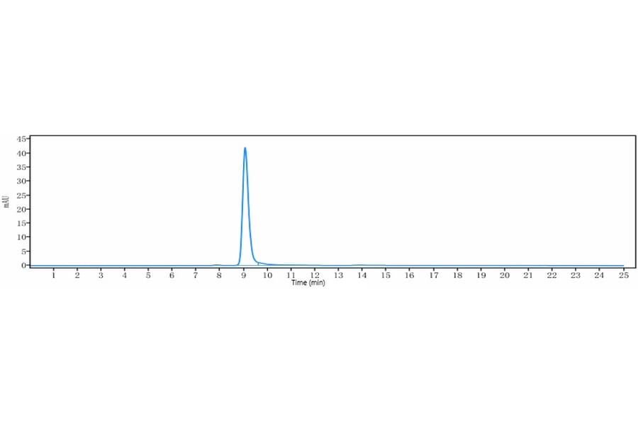 SEC-HPLC - Anti-Frizzled 7 Antibody [Research Grade Biosimilar] - Low endotoxin, Azide free (A324030) - Antibodies.com