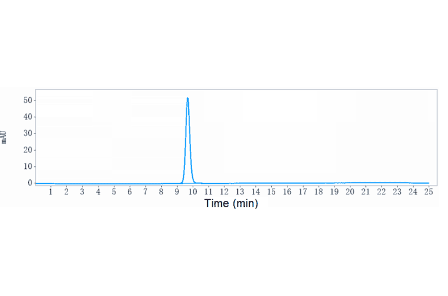 SEC-HPLC - Anti-GAD65 Antibody [Research Grade Biosimilar] - Low endotoxin, Azide free (A324032) - Antibodies.com