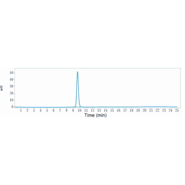 SEC-HPLC - Anti-GAD65 Antibody [Research Grade Biosimilar] - Low endotoxin, Azide free (A324032) - Antibodies.com