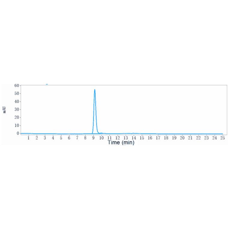 SEC-HPLC - Anti-Ganglioside GD2 Antibody [EMD 273063] - Low endotoxin, Azide free (A324033) - Antibodies.com