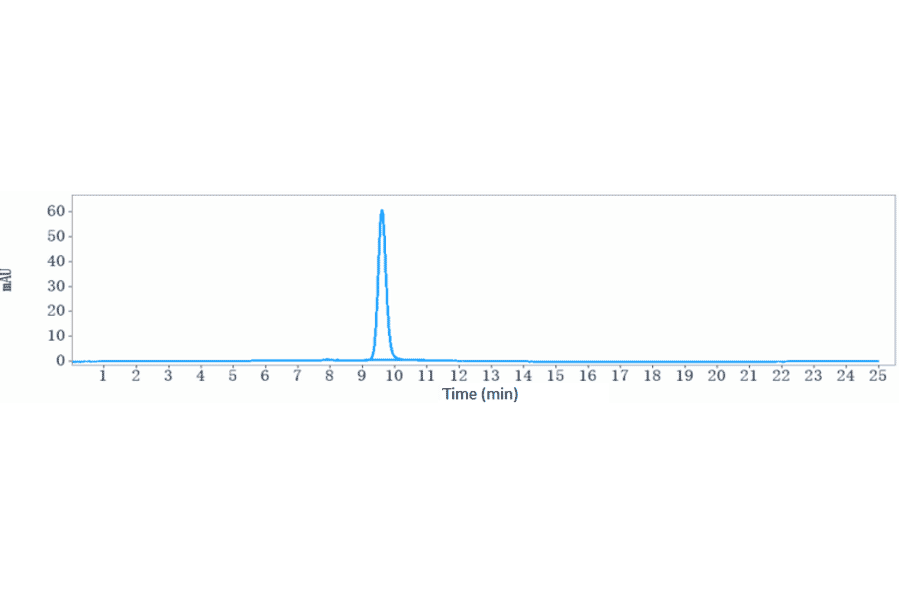 SEC-HPLC - Anti-GCSF Receptor Antibody [Research Grade Biosimilar] - Low endotoxin, Azide free (A324035) - Antibodies.com