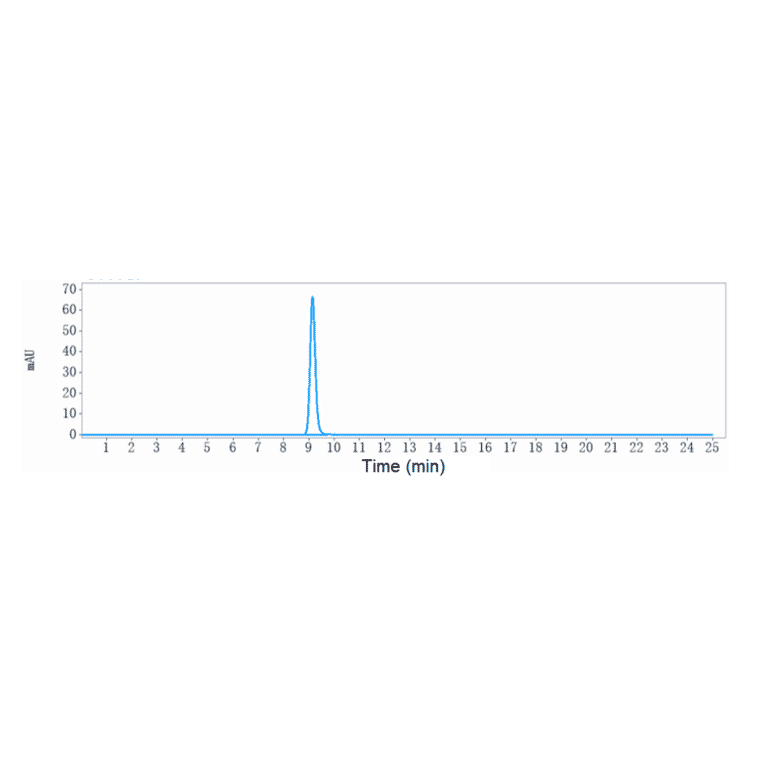 SEC-HPLC - Anti-GITR Antibody [Research Grade Biosimilar] - Low endotoxin, Azide free (A324038) - Antibodies.com