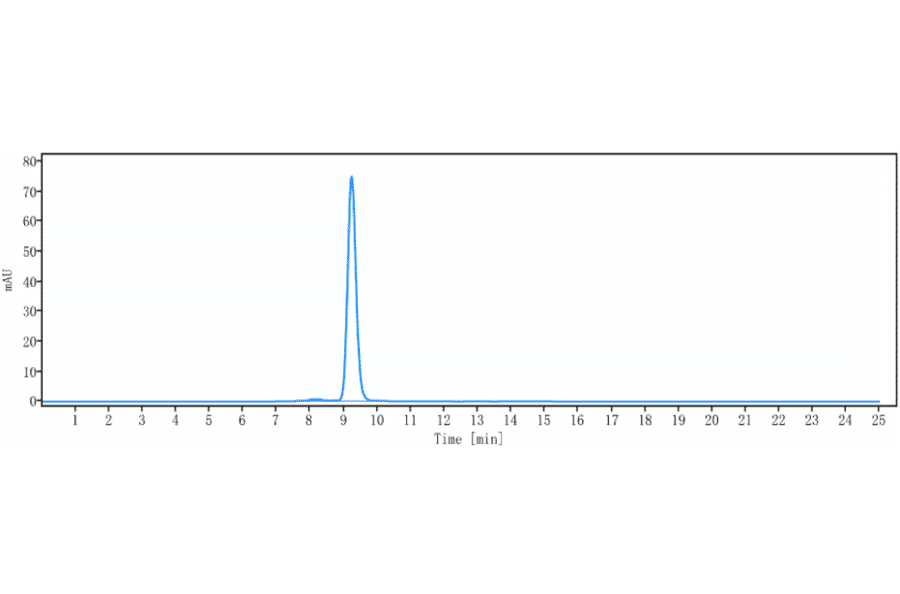 SEC-HPLC - Anti-Glypican 1/GPC1 Antibody [Research Grade Biosimilar] - Low endotoxin, Azide free (A324041) - Antibodies.com