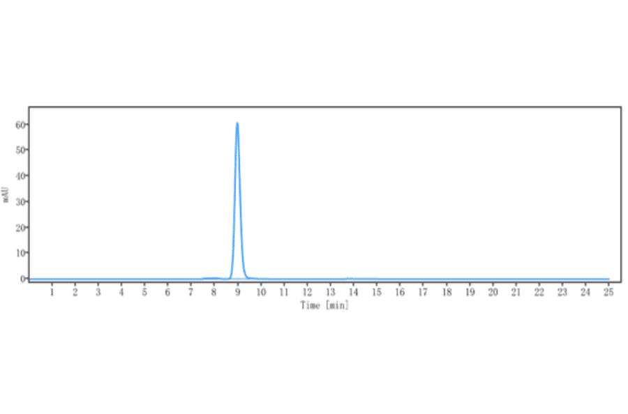 SEC-HPLC - Anti-Glypican 2 Antibody [Research Grade Biosimilar] - Low endotoxin, Azide free (A324042) - Antibodies.com