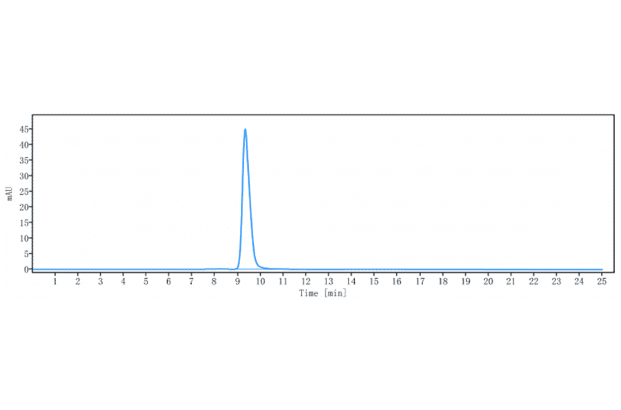 SEC-HPLC - Anti-GM-CSF Antibody [Research Grade Biosimilar] - Low endotoxin, Azide free (A324043) - Antibodies.com