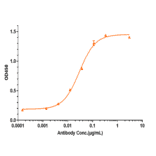 ELISA - Anti-GM-CSF Antibody [Research Grade Biosimilar] - Low endotoxin, Azide free (A324043) - Antibodies.com