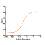 ELISA - Anti-GM-CSF Antibody [Research Grade Biosimilar] - Low endotoxin, Azide free (A324043) - Antibodies.com