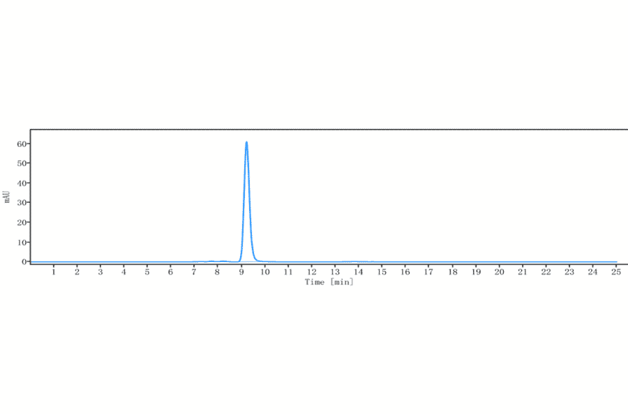SEC-HPLC - Anti-GPA33 Antibody [KRN330] - Low endotoxin, Azide free (A324045) - Antibodies.com