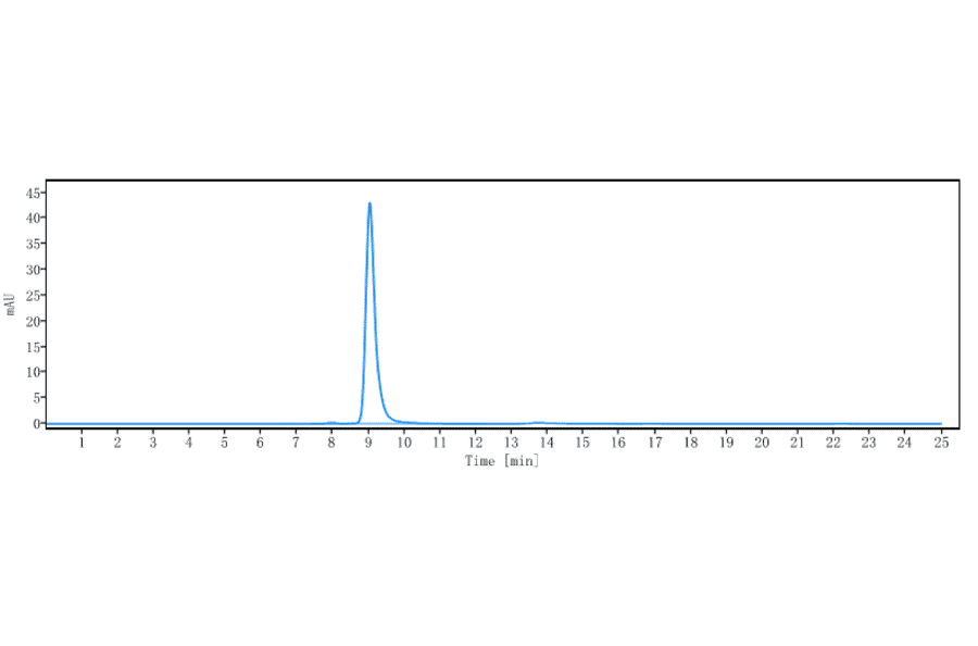 SEC-HPLC - Anti-GPCR GPR20 Antibody [DS-6157] - Low endotoxin, Azide free (A324046) - Antibodies.com