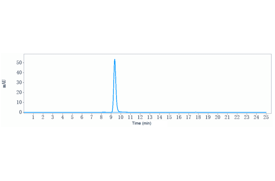 SEC-HPLC - Anti-Hemojuvelin Antibody [DISC-0974] - Low endotoxin, Azide free (A324053) - Antibodies.com