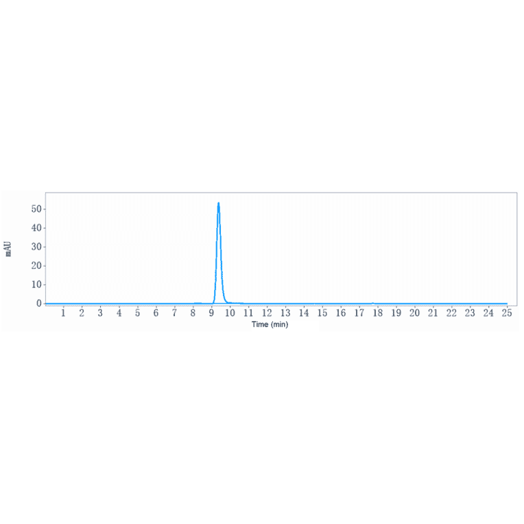 SEC-HPLC - Anti-Hemojuvelin Antibody [DISC-0974] - Low endotoxin, Azide free (A324053) - Antibodies.com