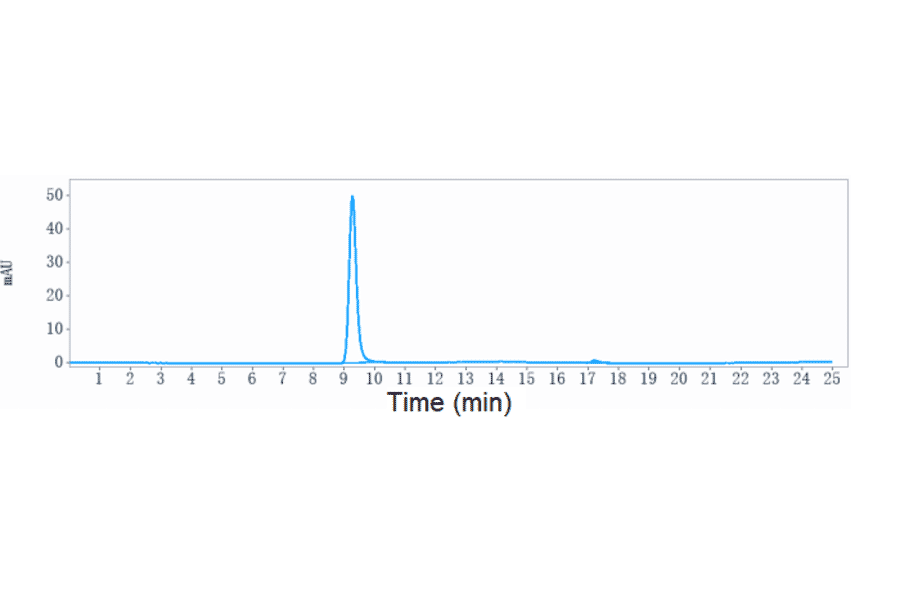 SEC-HPLC - Anti-Hepatitis B Virus Surface Antigen Antibody [OST 577] - Low endotoxin, Azide free (A324054) - Antibodies.com