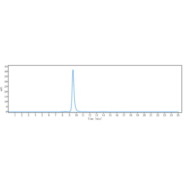 SEC-HPLC - Anti-HLA-DR Antibody [IMMU-114] - Low endotoxin, Azide free (A324062) - Antibodies.com