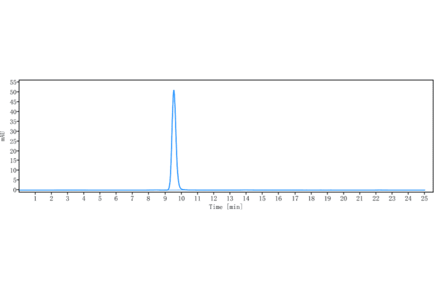 SEC-HPLC - Anti-HTRA1 Antibody [FHTR2163] - Low endotoxin, Azide free (A324063) - Antibodies.com