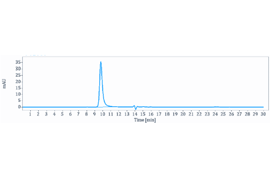 SEC-HPLC - Anti-IDO-2 Antibody [Research Grade Biosimilar] - Low endotoxin, Azide free (A324066) - Antibodies.com