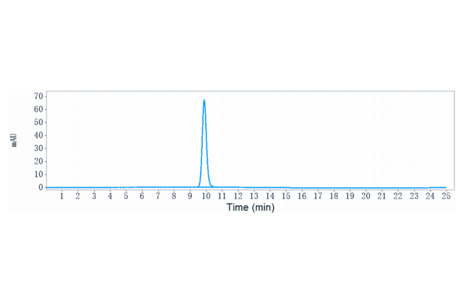 SEC-HPLC - Anti-IGF1 Receptor Antibody [Research Grade Biosimilar] - Low endotoxin, Azide free (A324067) - Antibodies.com