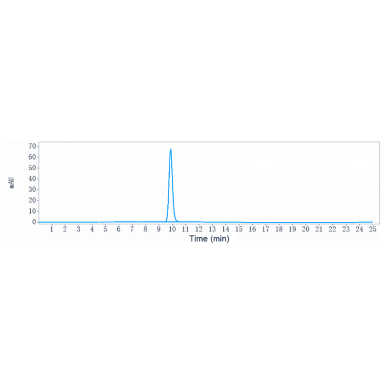 SEC-HPLC - Anti-IGF1 Receptor Antibody [Research Grade Biosimilar] - Low endotoxin, Azide free (A324067) - Antibodies.com