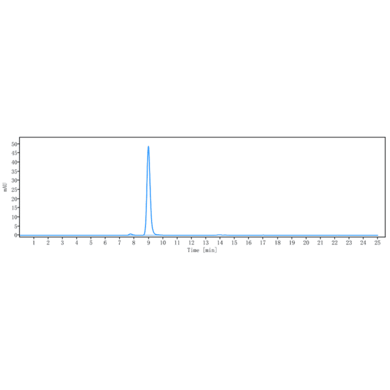 SEC-HPLC - Anti-IL-1 beta Antibody [CDP484] - Low endotoxin, Azide free (A324069) - Antibodies.com