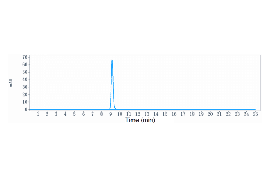 SEC-HPLC - Anti-IL-10 Antibody [BT-063] - Low endotoxin, Azide free (A324071) - Antibodies.com