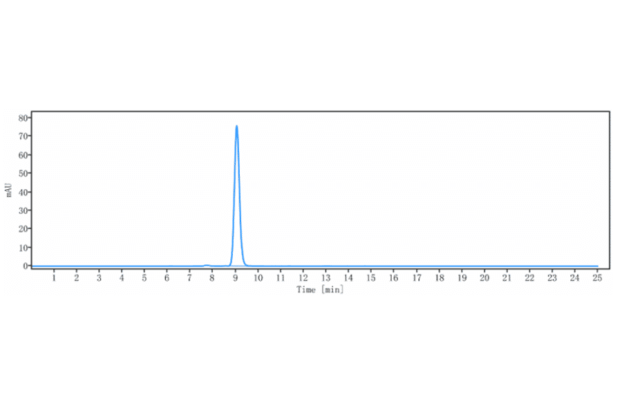 SEC-HPLC - Anti-IL-13 Antibody [M1295] - Low endotoxin, Azide free (A324072) - Antibodies.com