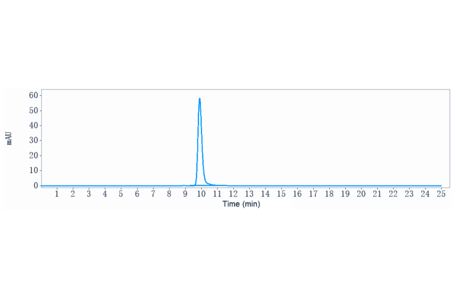 SEC-HPLC - Anti-IL-13 Antibody [CNTO 607] - Low endotoxin, Azide free (A324074) - Antibodies.com