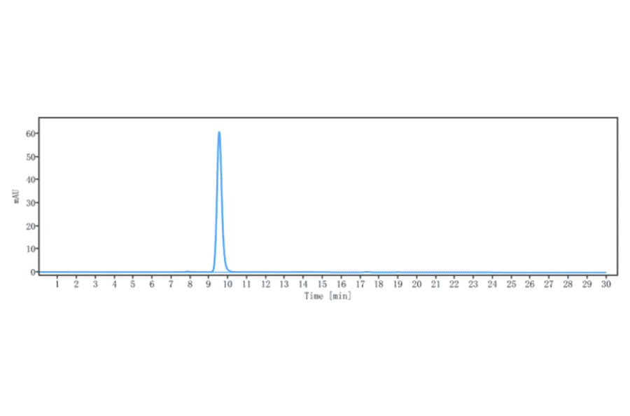 SEC-HPLC - Anti-IL-15 Antibody [DISC0280] - Low endotoxin, Azide free (A324079) - Antibodies.com